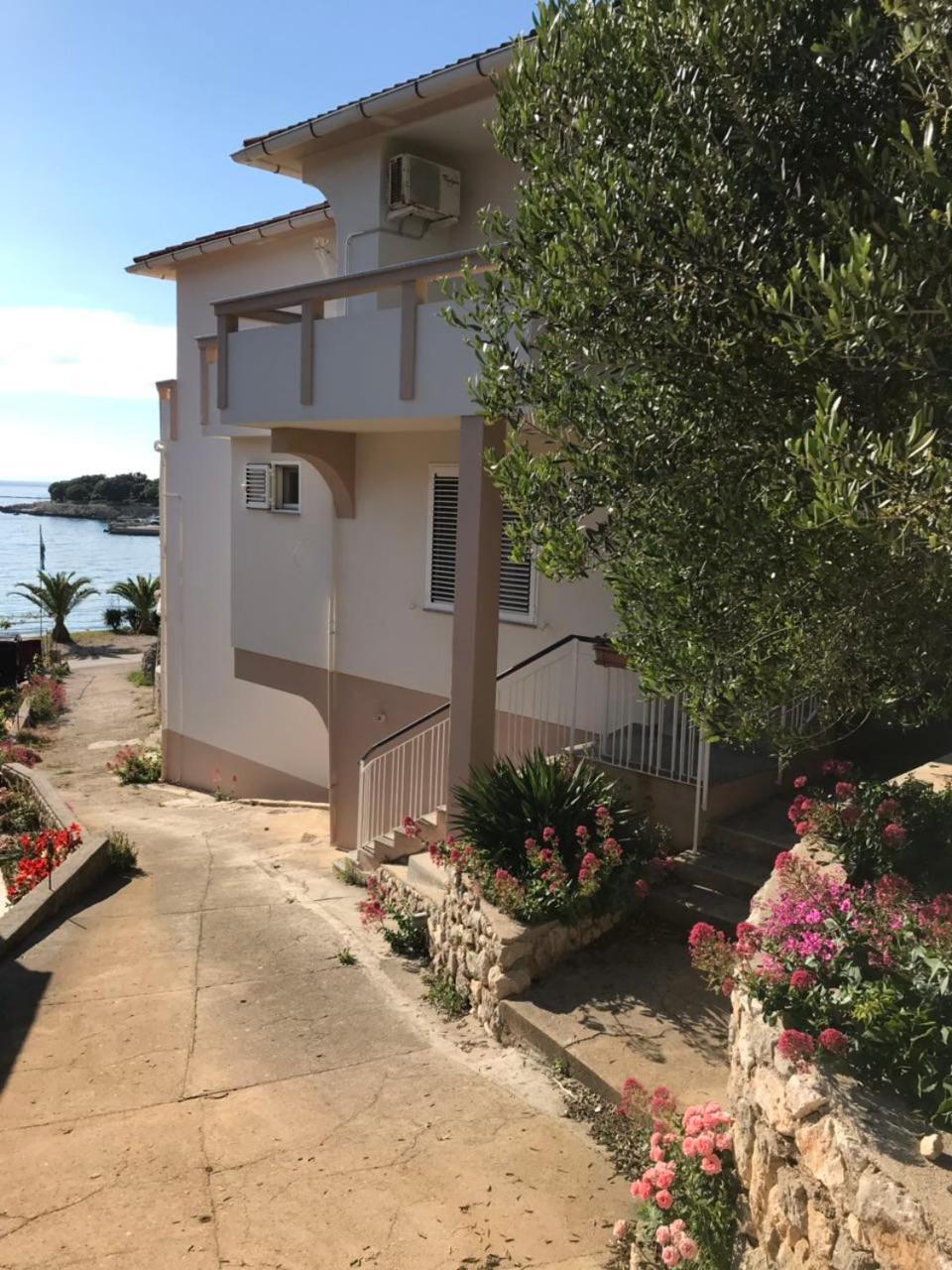 Apartments And Rooms Ljubica Лун Екстериор снимка
